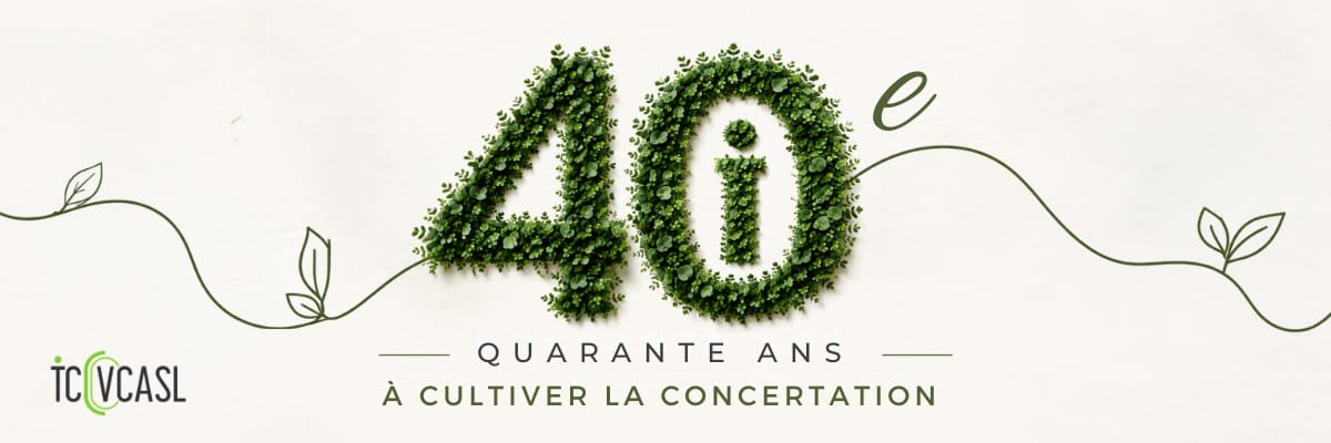 Création sans titre (8)